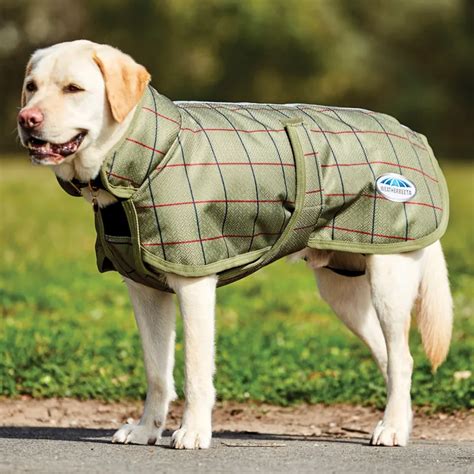 Padded waterproof dog jacket 